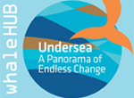 Undersea | A Panorama of Endless Change